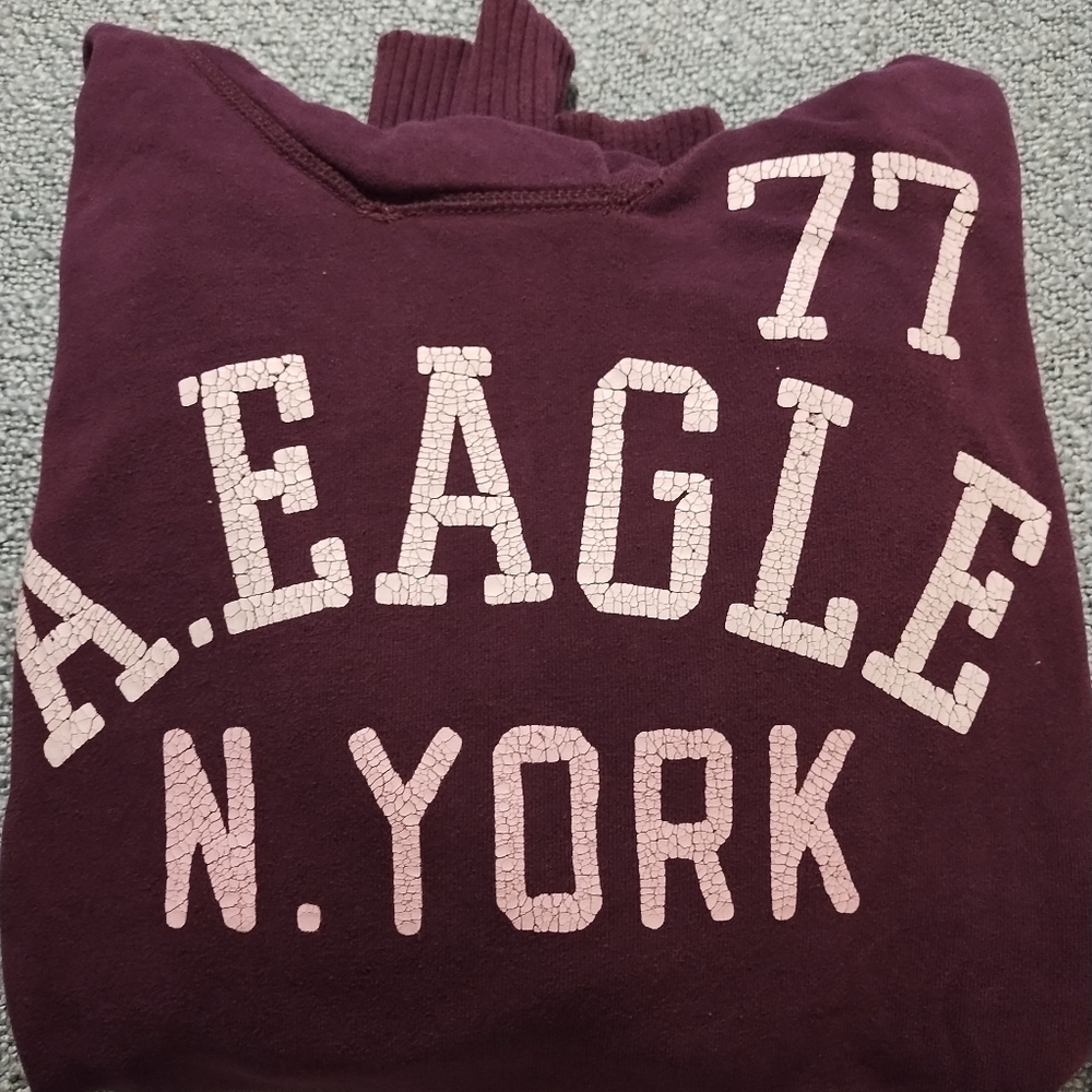 American Eagle Outfitters Burgundy Pullover Hoodie - Picture 1 of 4